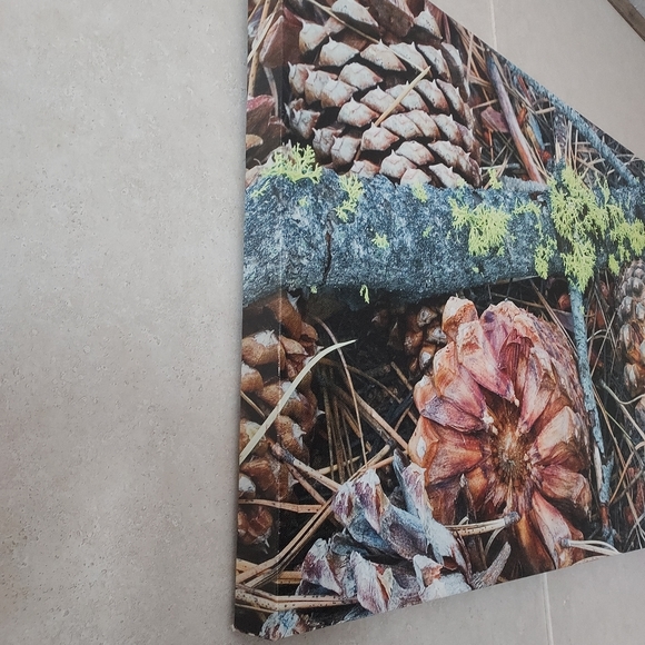 Pine cone canvas painting - Picture 2 of 5